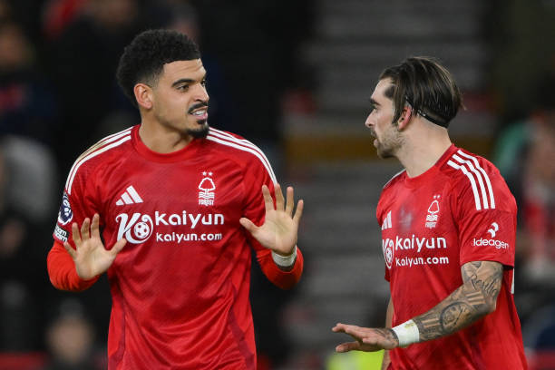 他的稳健表 他的稳健表