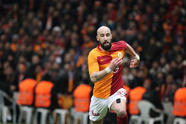 仅提高了效 仅提高了效