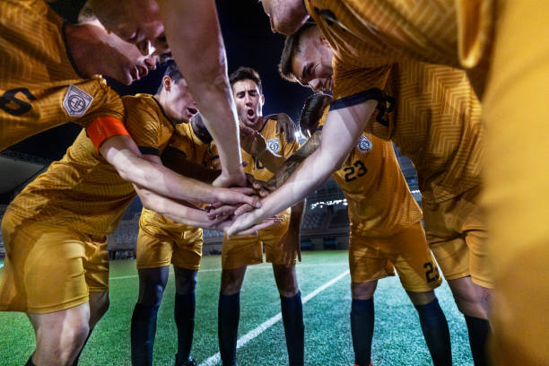 费舍尔的 费舍尔的